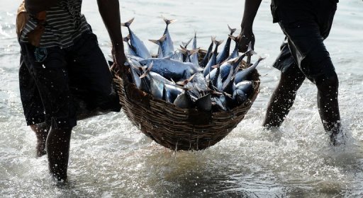 Greenpeace warns of overfishing 'crisis' in Indian Ocean