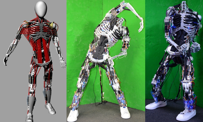 skeleton robot toy