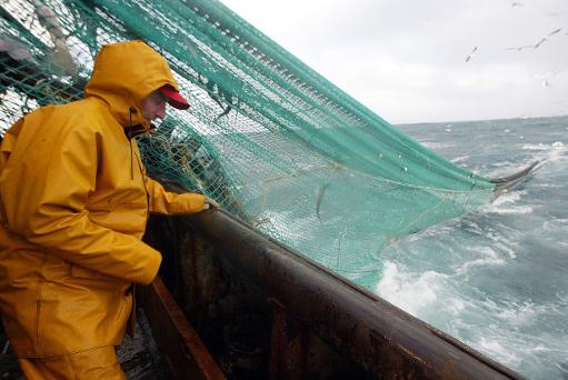 EU parliament rejects ban on bottom-fishing trawlers