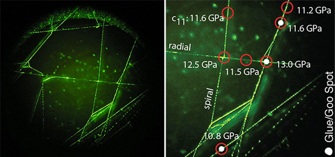Spectroscopy Sheds New Light On Mysteries Of Spider Silk 6303