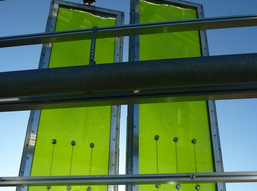 Bi q. "Дом из водорослей", Гамбург, Германия. Дом из водорослей в Гамбурге. "Дом из водорослей", Гамбург, Германия 2023. Дом фотобиореактор в Гамбурге.