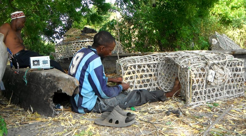 Building a better fish trap: WCS reduces fish bycatch with escape