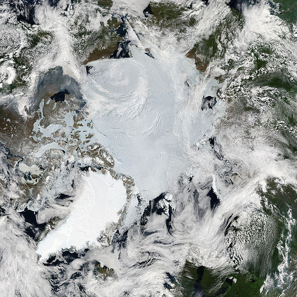 Global science team on red alert as Arctic lands grow greener - Phys.org