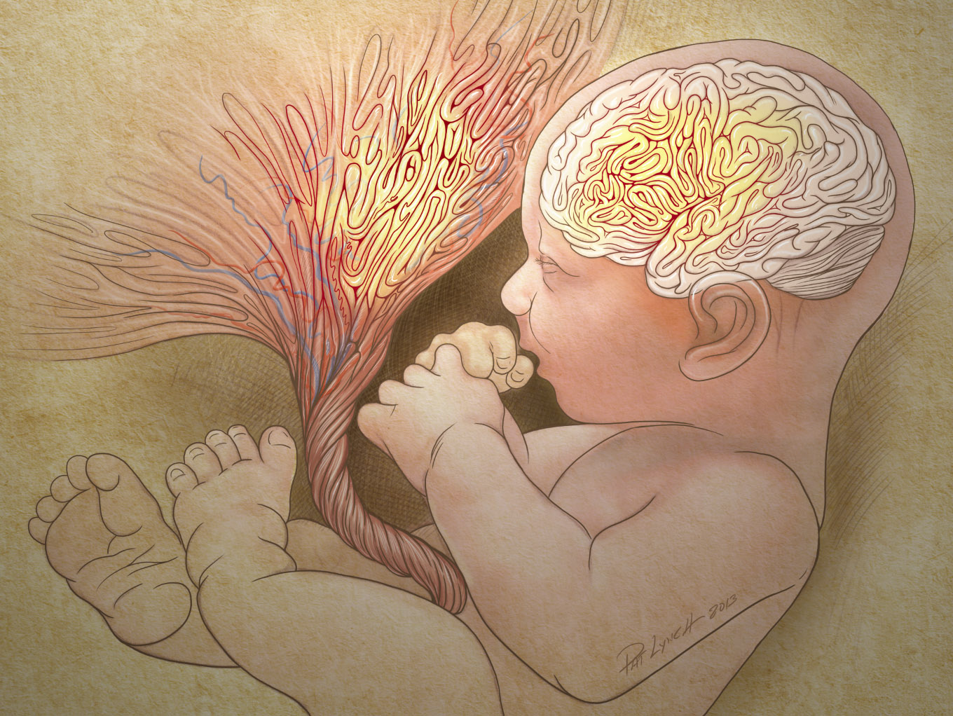 Нервы после родов. Фетоплацентарная недостаточность Акушерство.