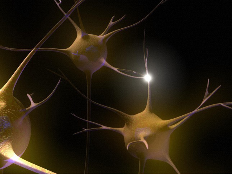 Нейрон улитки. Нейроны. Нейроны улитки. Нейронная активность. Нейрон фото.