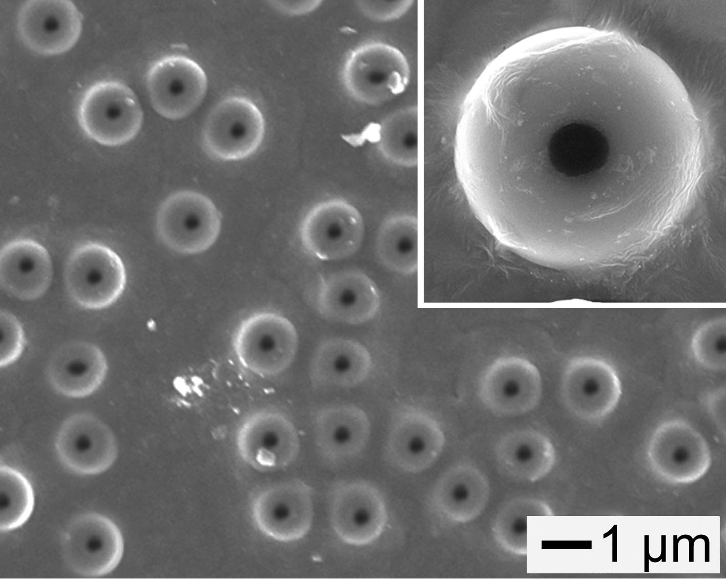 Фотография атома в электронном микроскопе
