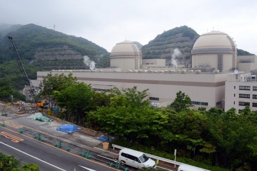 nuclear reactor meltdown japan december 2013