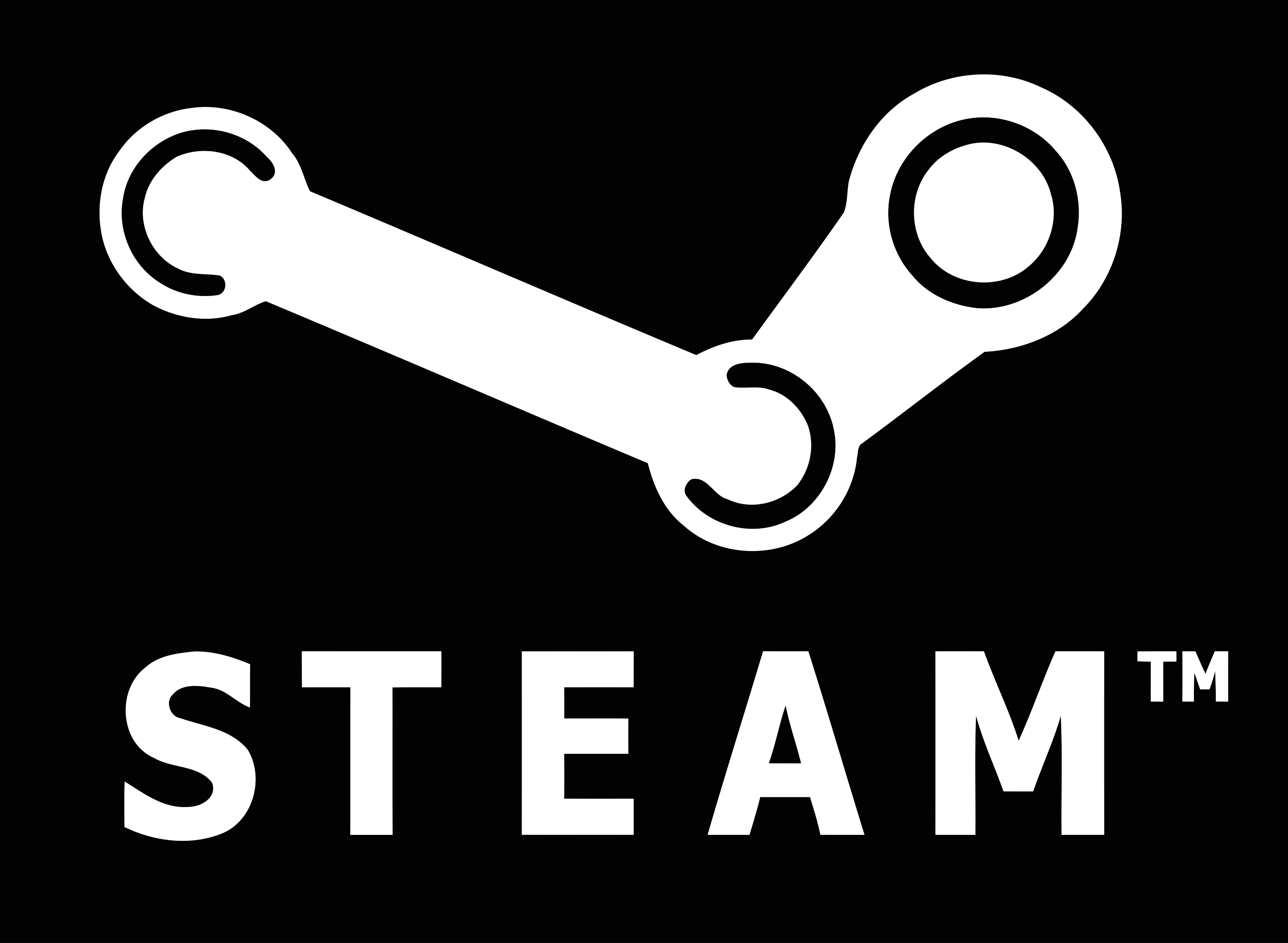 steam logo valve