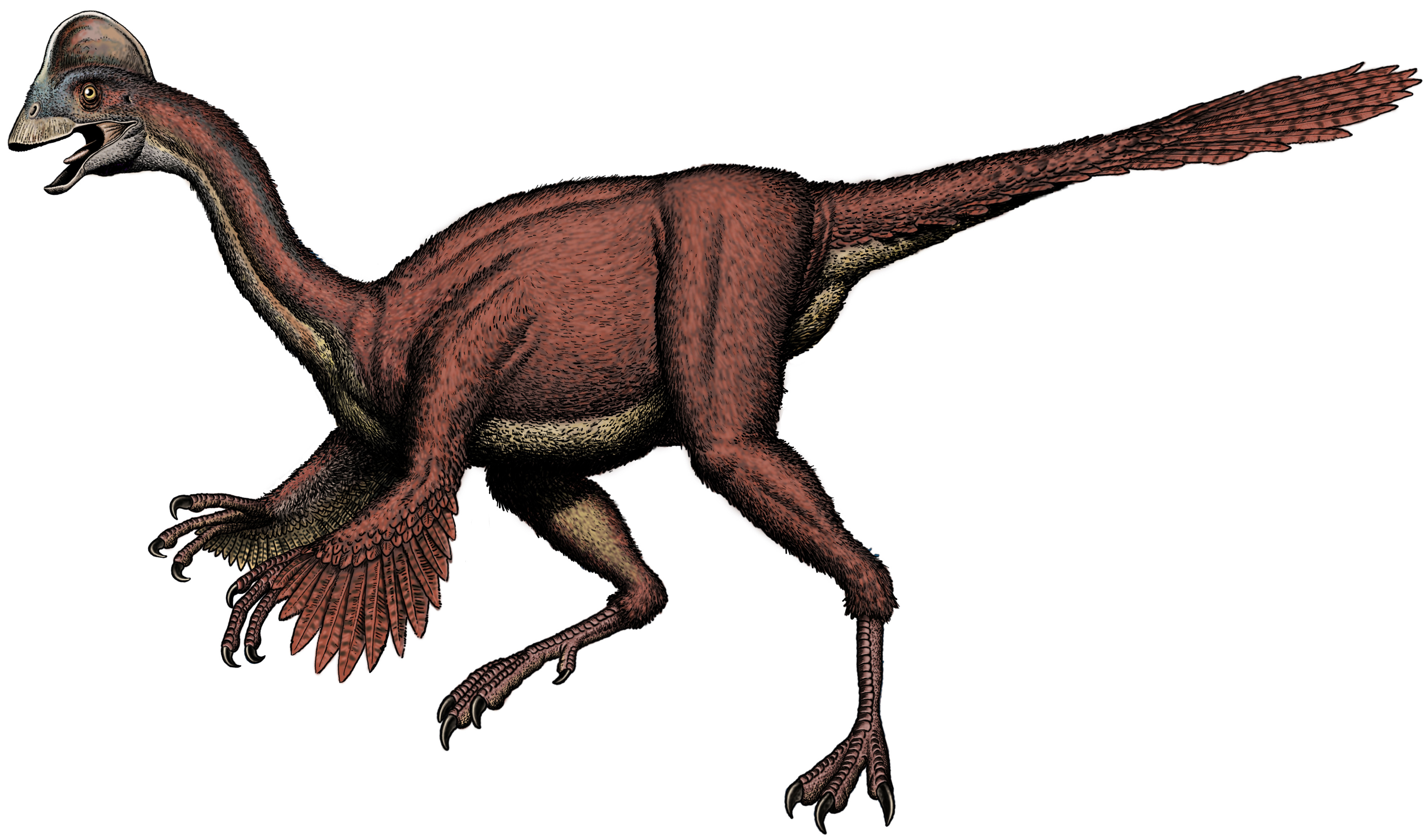 Three New Raptor Dinosaurs Discovered in Utah, Paleontology
