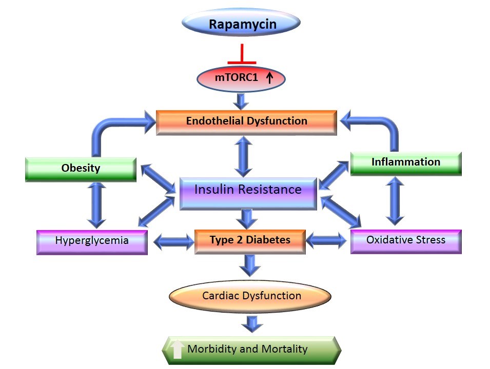 Hiperglucemia y cetosis ejercicio fisico en diabetes tipo 2 pdf
