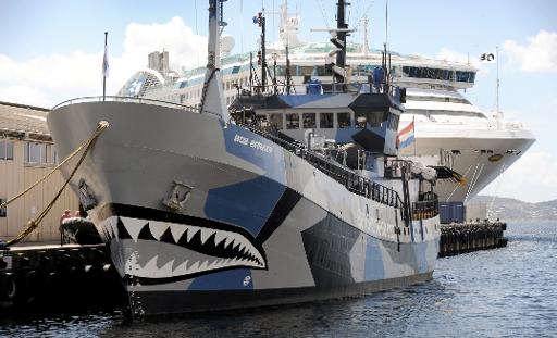 Whale Wars: How was the Sea Shepherd's new ship sunk? 