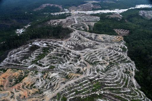 A portrait of deforestation in East Kalimantan, Indonesia