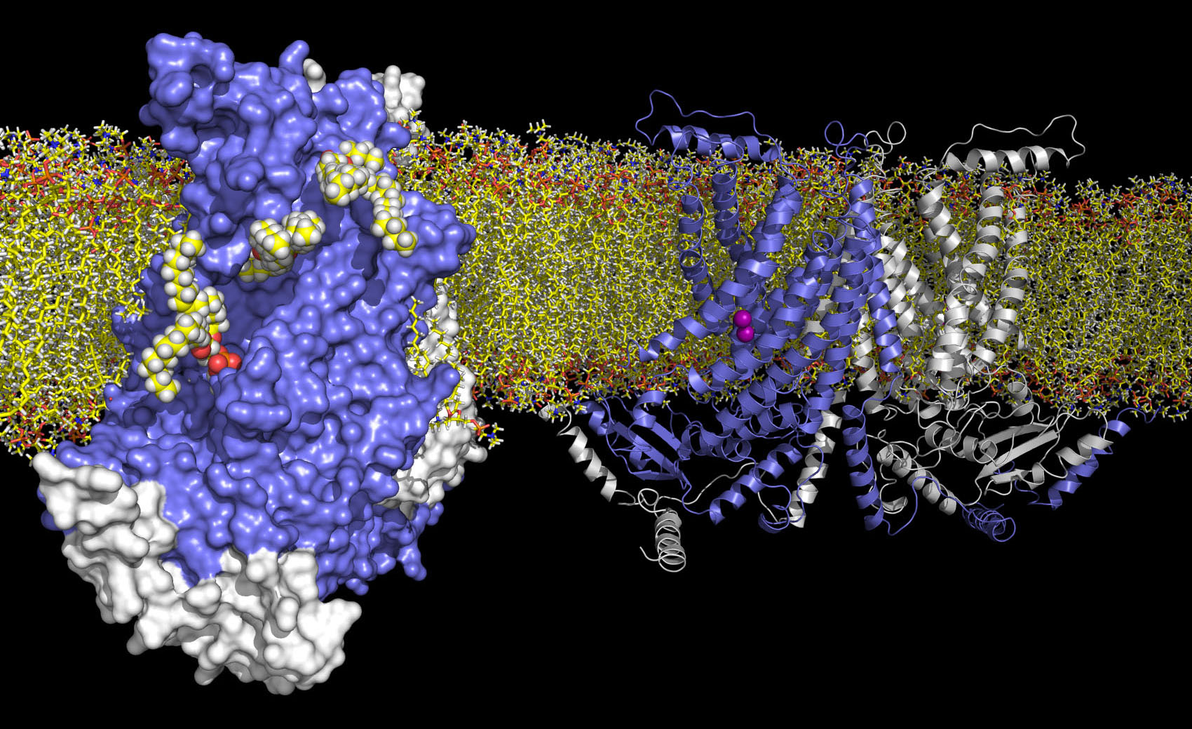 Биофизик 2. Viscoelasticity Biophysics. The structure of Collagenase. Биофизика картинки для оформления. GST Protein 3d structure.