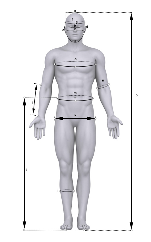 8 частей человека. Измерения тела человека. Замеры человека. Замеры тела человека. Обмеры человека.