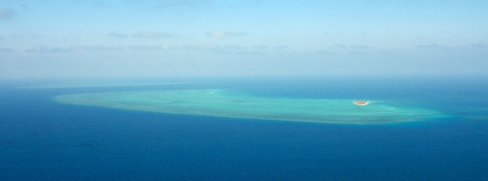 coral atoll reef plummets comparison growth year rate