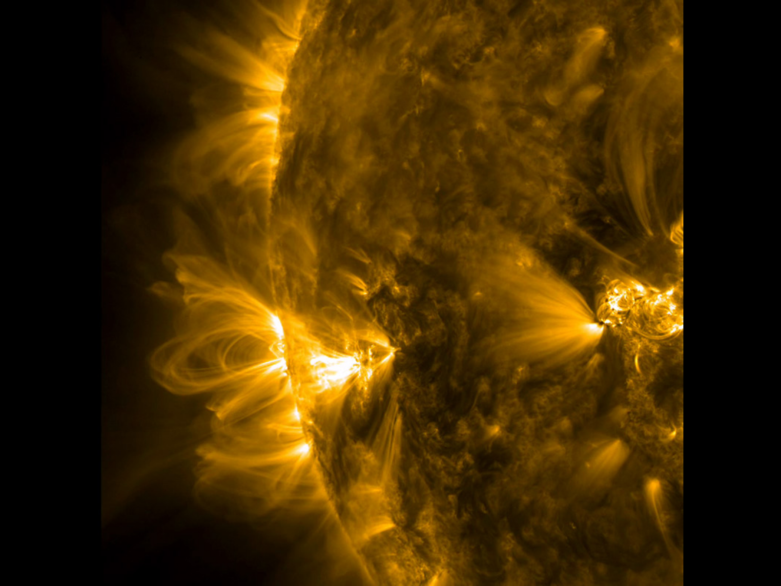 Sdo tolgas. Корональные петли. Корональные петли на солнце. Вспышки на солнце. Снимок солнца.