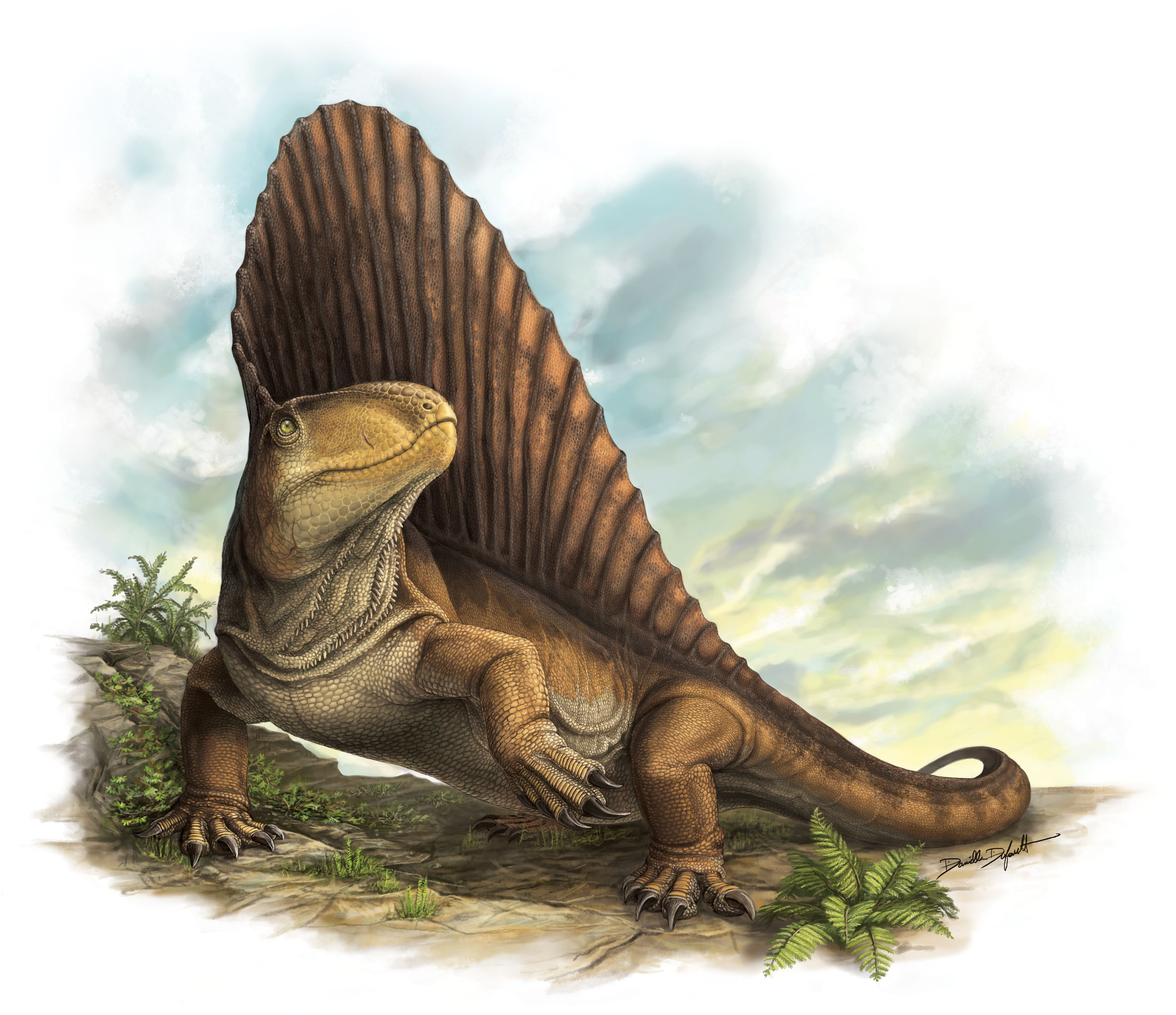 Динозавры это ящеры. Пермский период Диметродон. ДНД Диметродон. Диметродон динозавр. Дометрофодон динозавр.