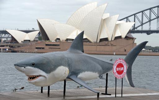 Thousands rally against shark cull in Australia