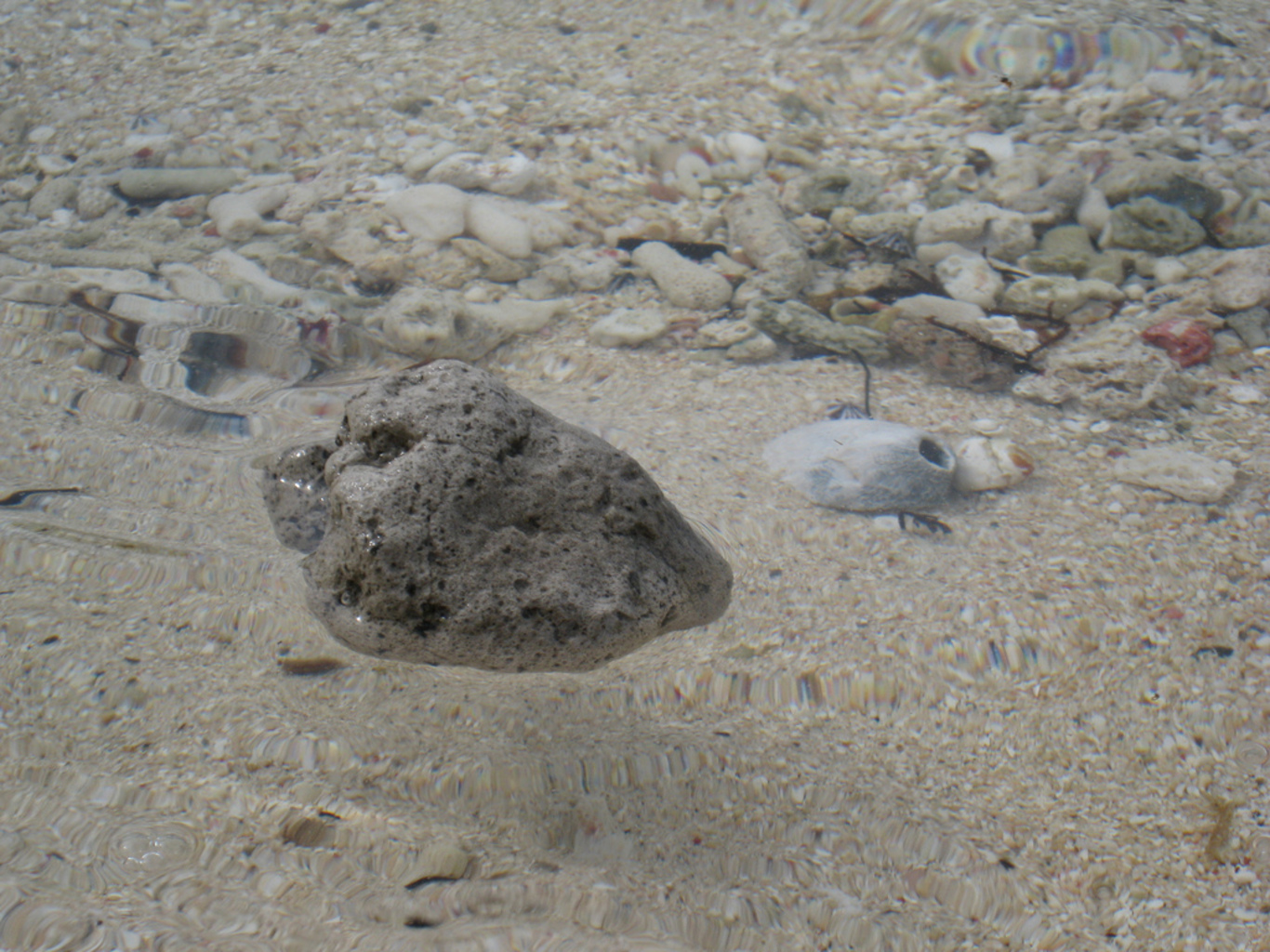 Nobody Knows Where This Big Raft of Pumice Came From