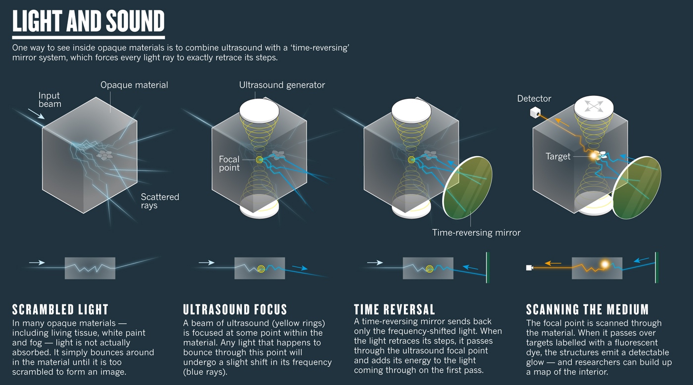 Scientists make transparent materials absorb