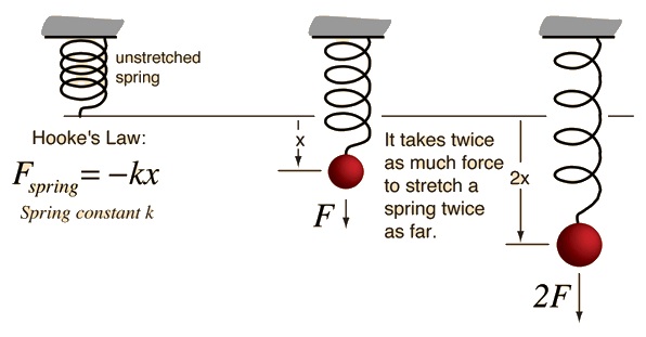 Hooke's Law illustration