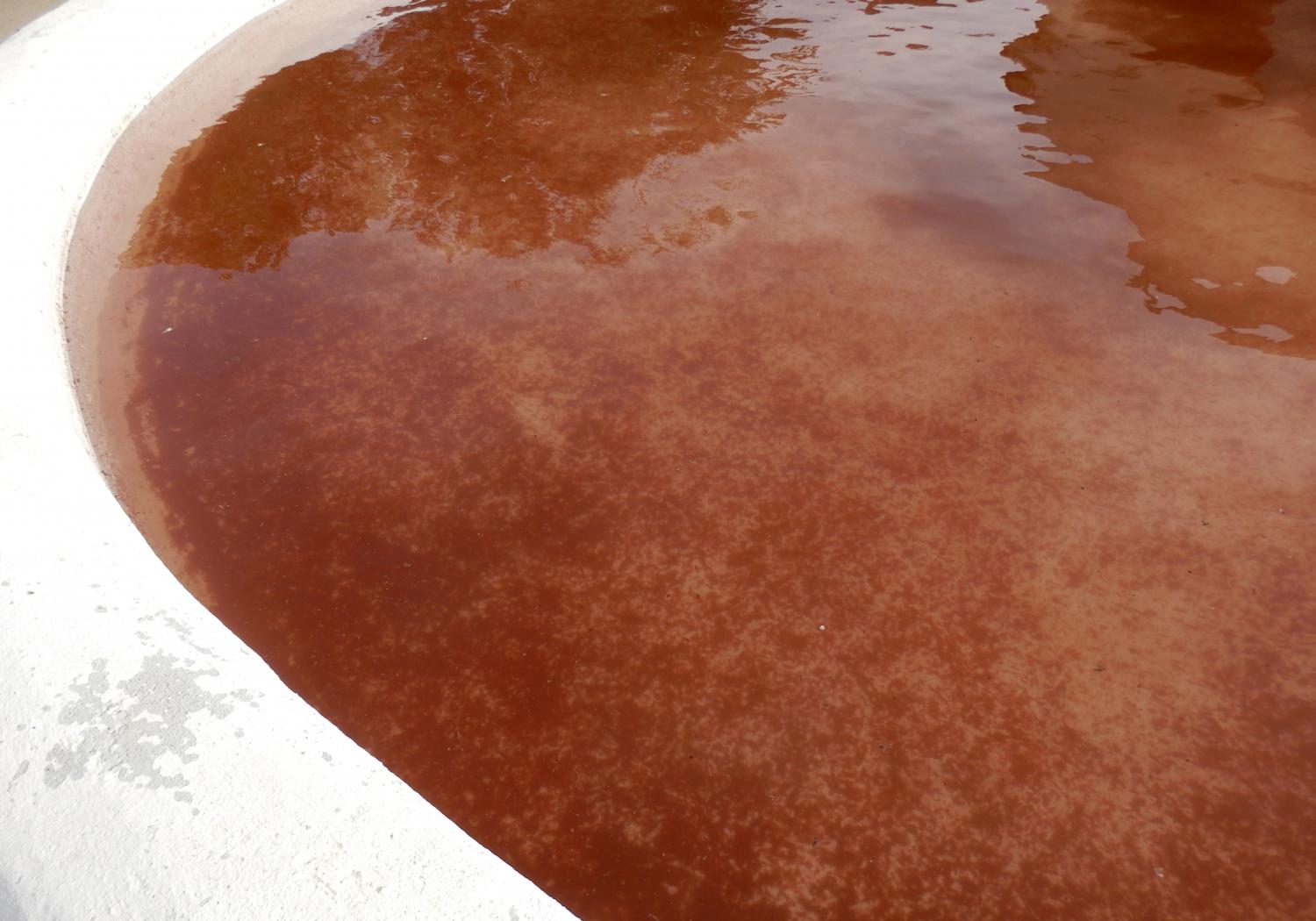 Вода стала коричневой. Красный налет в бассейне. Бурый цвет воды. Кроваво красный бассейн.