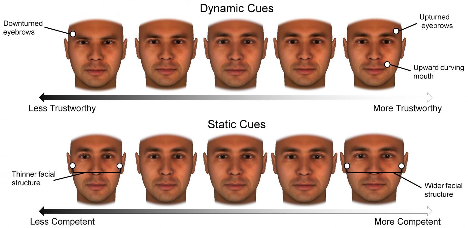 Muscles Of Facial Expression Chart
