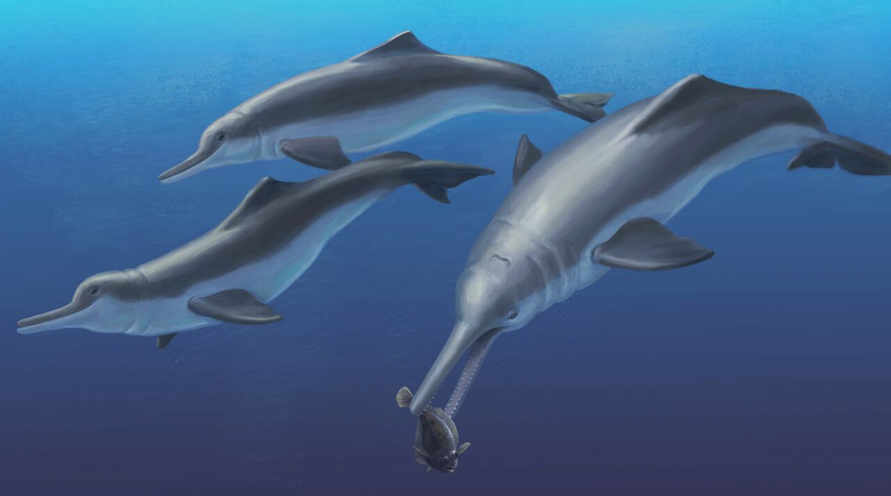 Доисторические дельфины