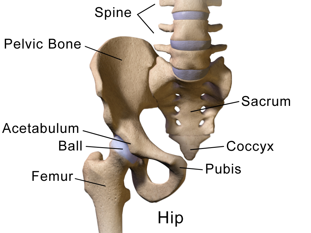 Hip arthroplasty can be ‘appropriately considered’ for nonagenarians