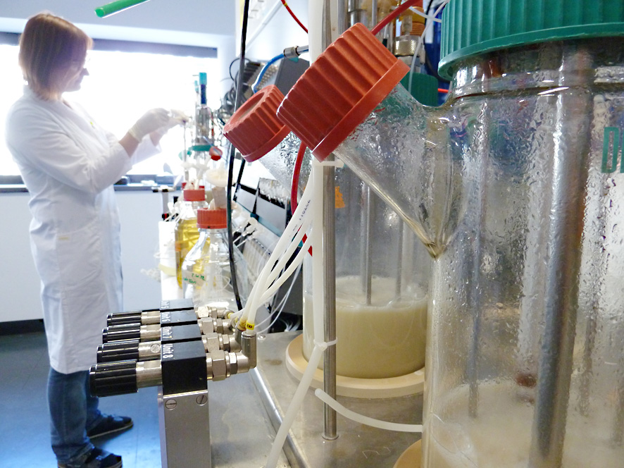 Tutoring for nature: Production of valuable nootkatone with yeast