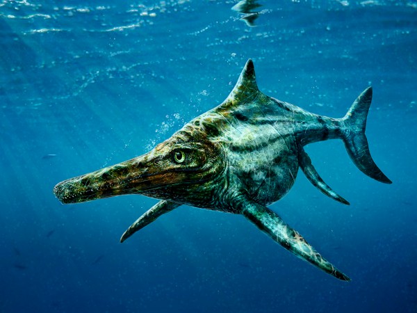 jurassic period sea creatures