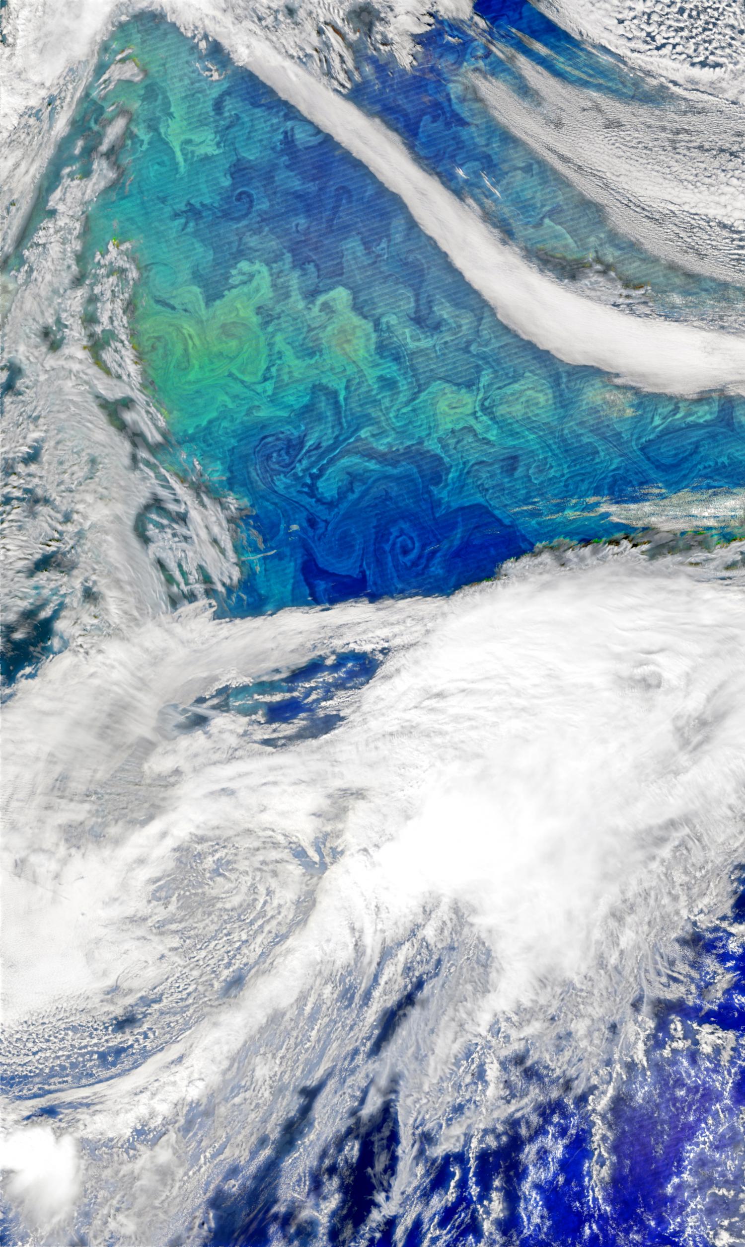 Phytoplankton Bloom In The North Atlantic