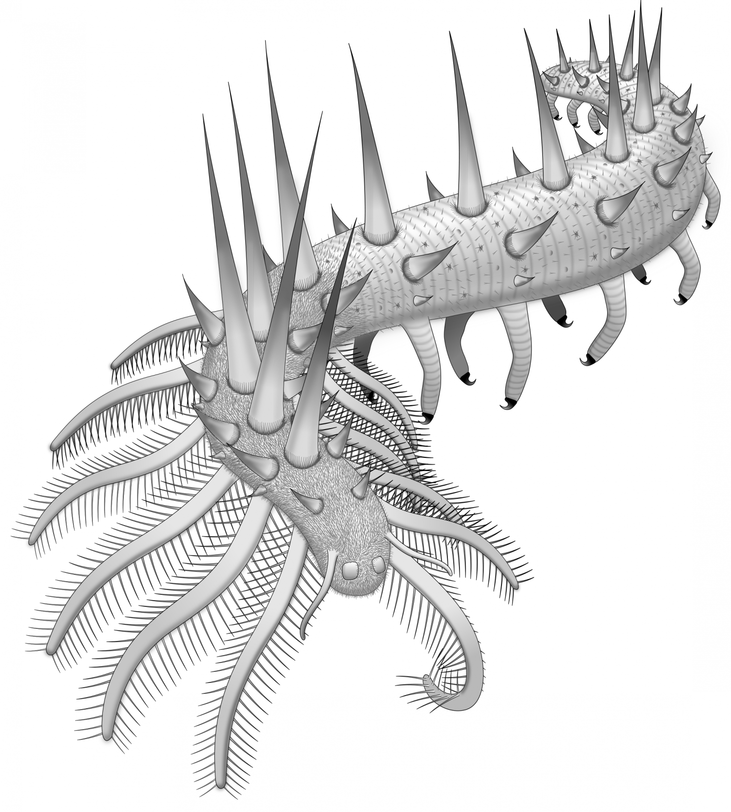 Spiky monsters: New species of 'super-armored' worm discovered
