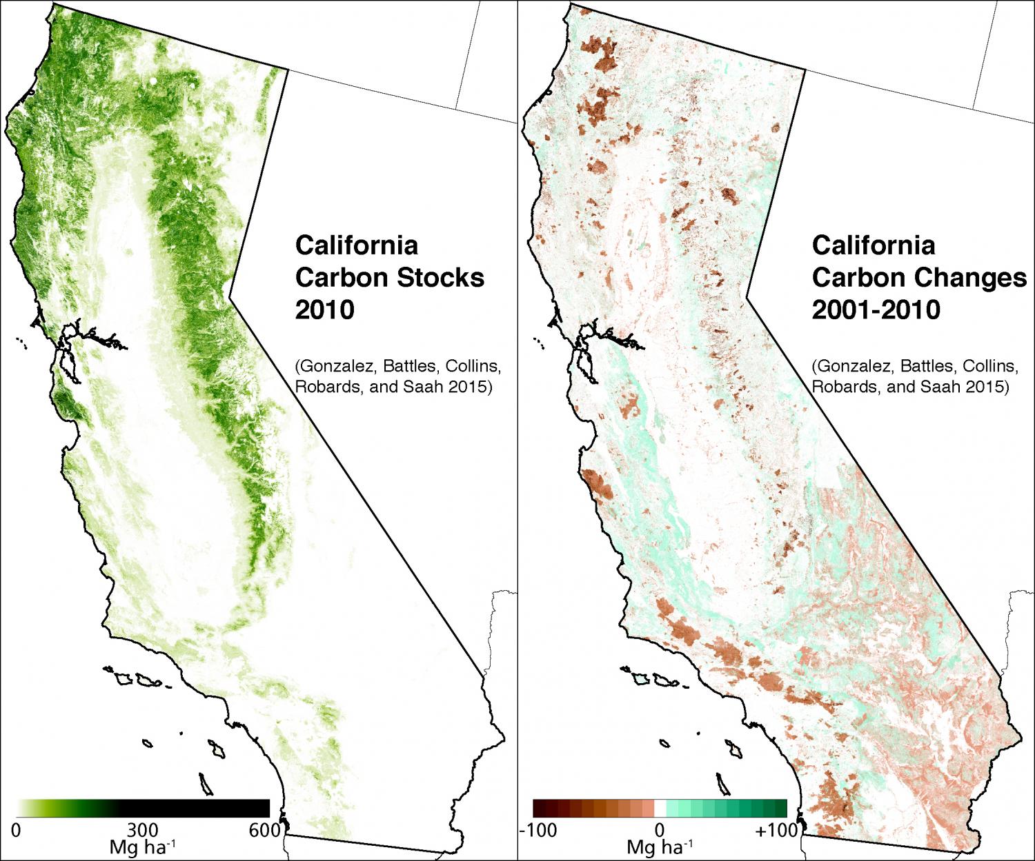 Wildfires Emit More Greenhouse Gases Than Assumed In California