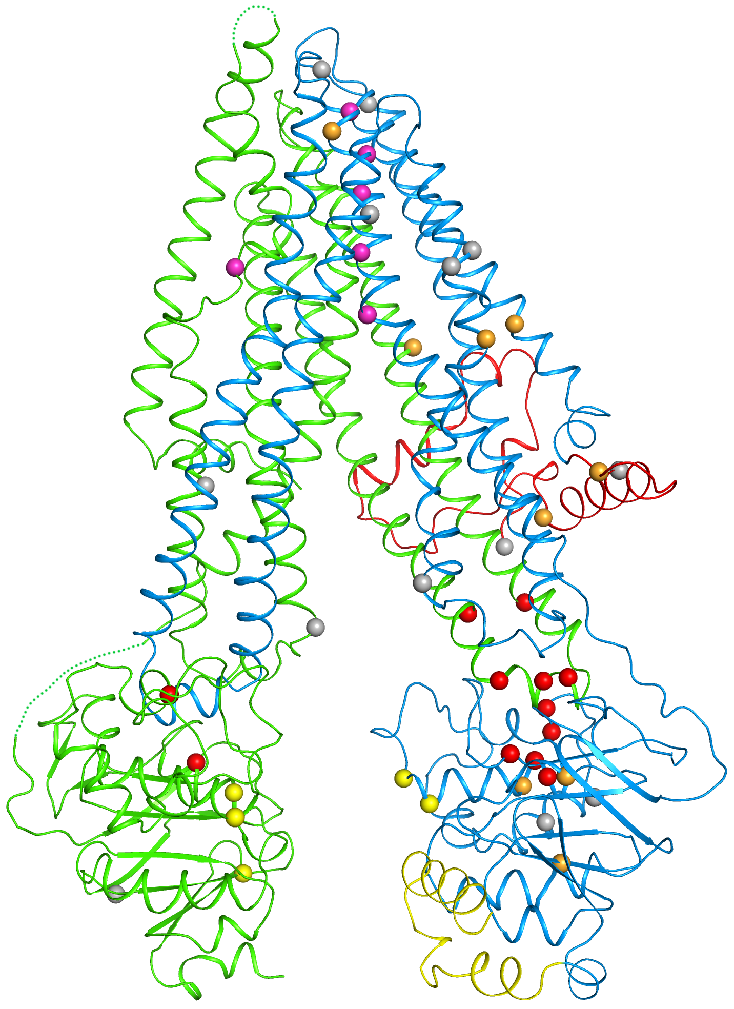First structure. Ферст Генетикс. Биофизика картинки для оформления. Shedding Protein.
