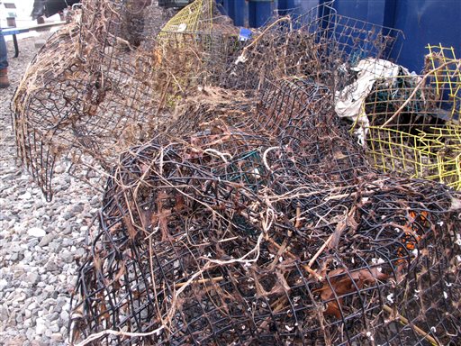 Removal of derelict fishing gear has major economic impact