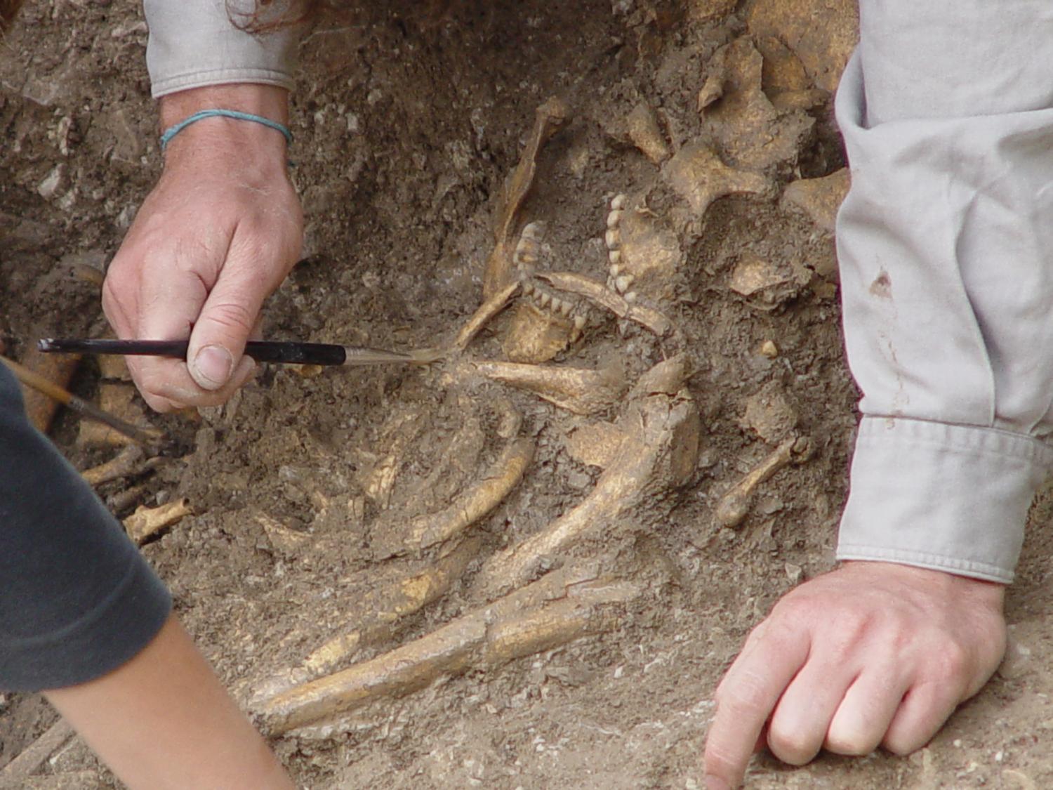 Вопросы археологу. Археологические находки мезолита. Мезолит это в археологии.