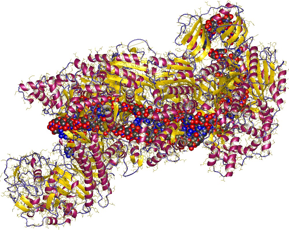 CRISPR enzyme programmed to kill viruses in human cells - Phys.org thumbnail