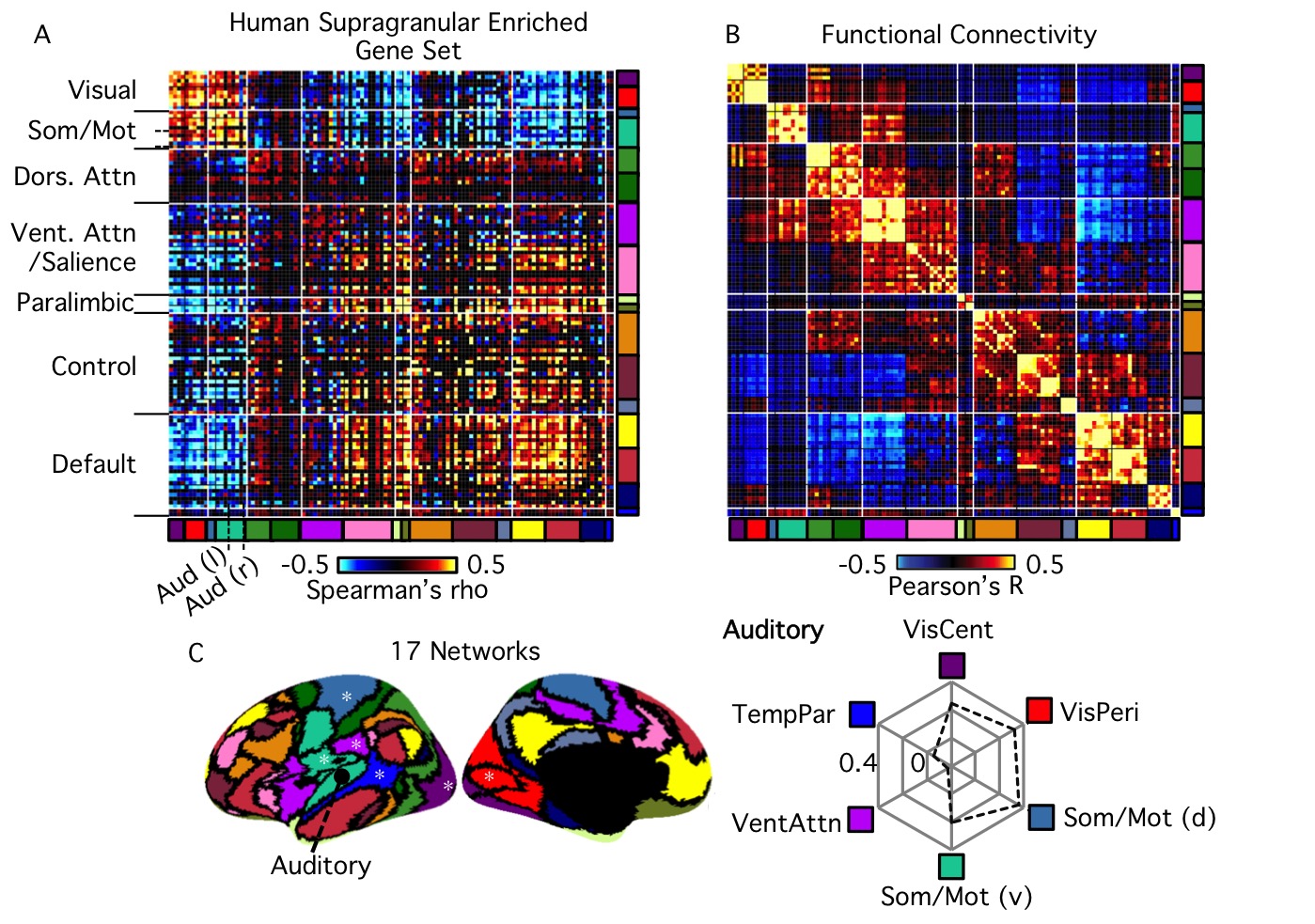 Using neuroimaging genomics to investigate the evolution of human brain  structure