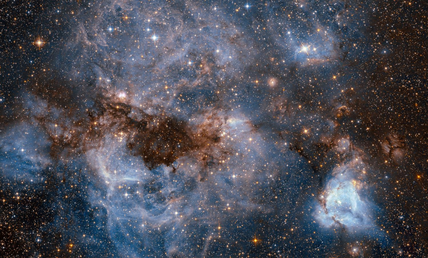 Hubble Finds Cosmic Bubbles and Filaments in Large Magellanic Cloud