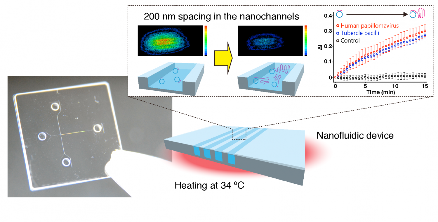 download nanoscope analysis v1.8