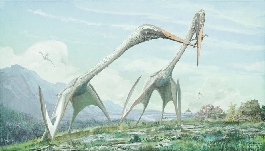 Unique Bone Structure Helped Long-Necked Pterosaurs Fly