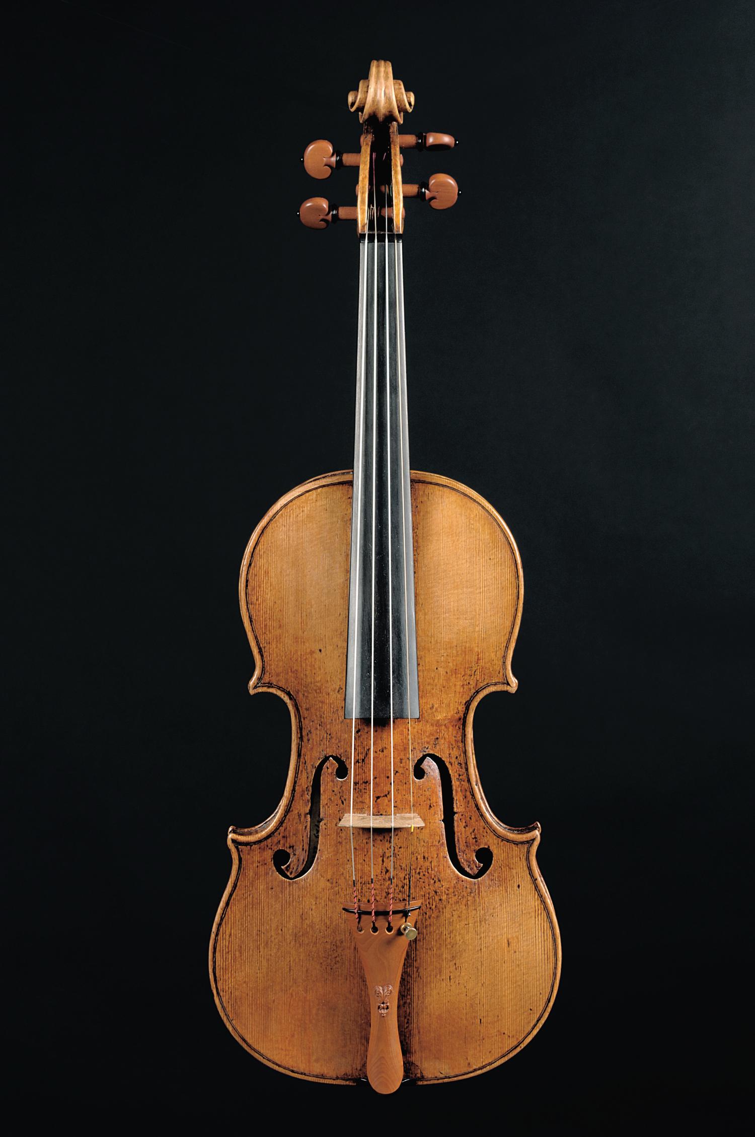 The components of violin varnish, Focus
