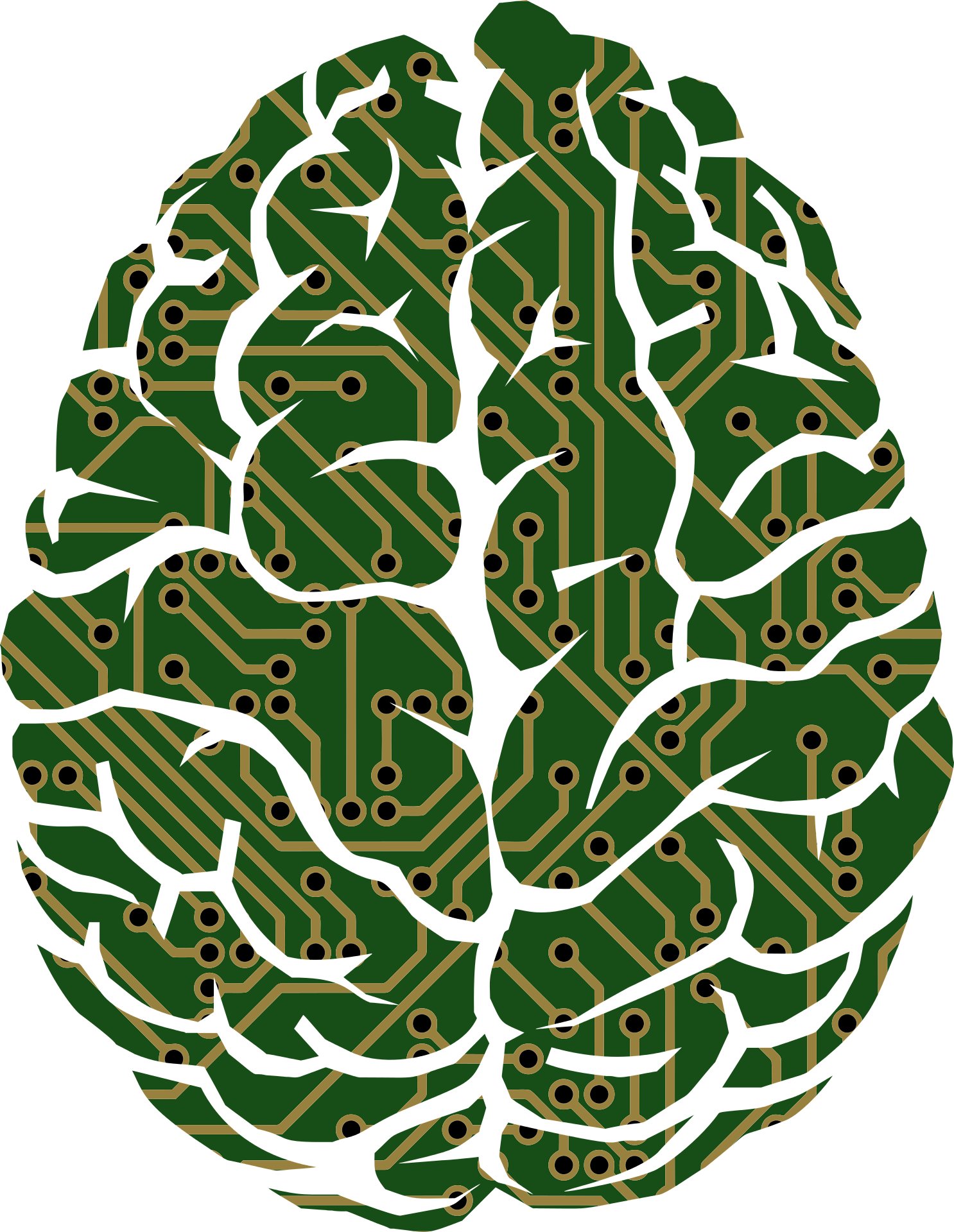 Green brain. Дерево мозг. Мозг узор. Мозг клипарт.