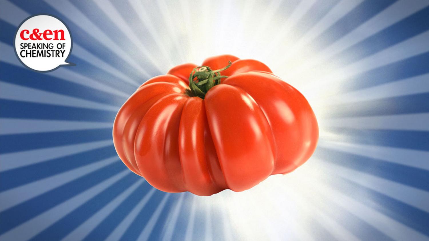 These are tomatoes. Помидоры убийцы картинки. Томат со знаком вопроса. Видео томат Чико 3. Mr Tomatos.