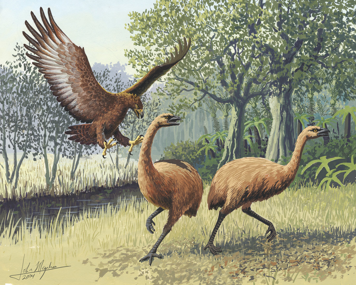 #DNA provides unique look at moa and climate change
