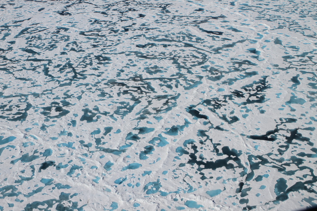 Вода выступила на поверхность льда. Зеленый лед. Краска для льда. Melt Ponds.