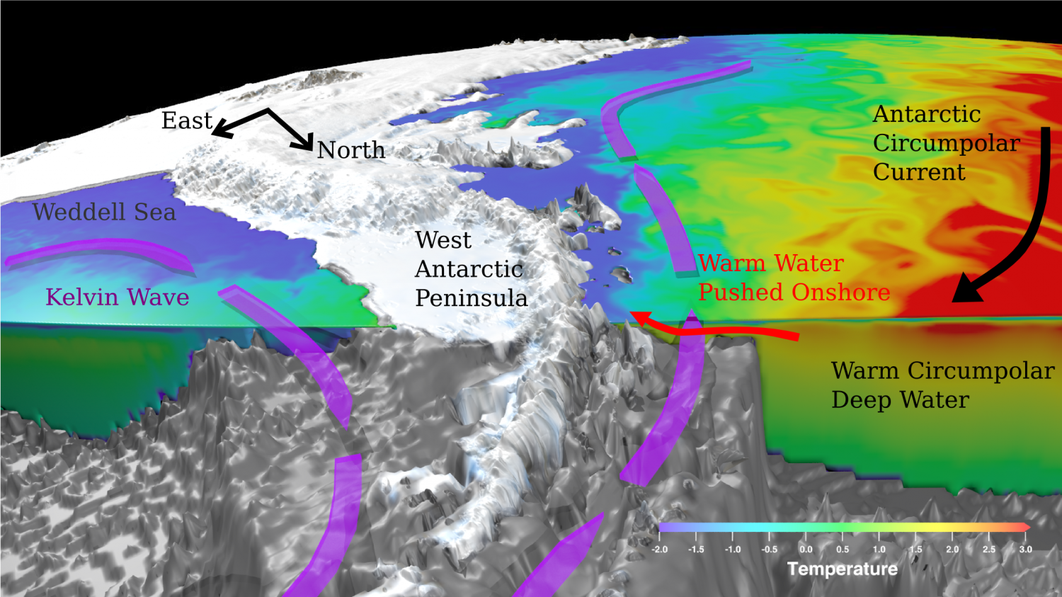 Течение западных ветров температура. Антарктическое циркумполярное. Антарктическое циркумполярное течение. Течения Антарктиды. Тёплые течения Антарктиды.