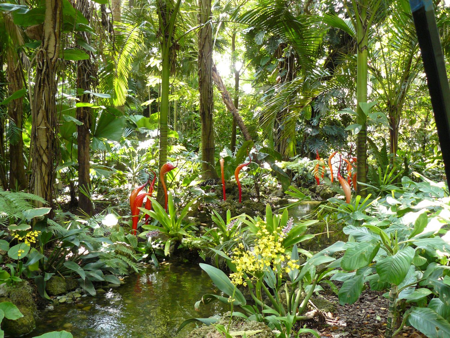 Knows that plants. Тропический Ботанический сад Фэйрчайлд. Тропический лес в Майами. Орхидея в тропическом лесу. Растения в тропических лесах.