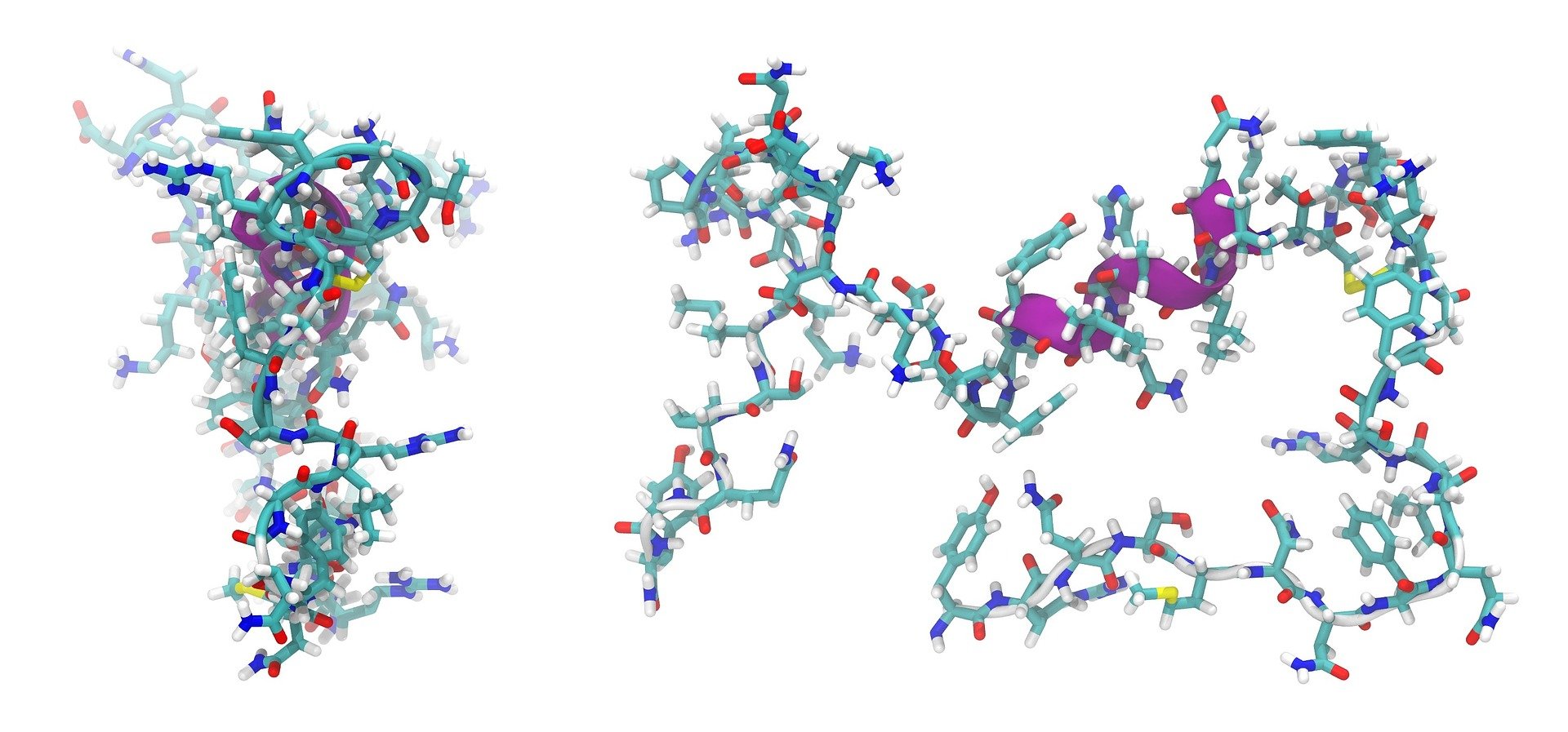Structure of a 'promiscuous' protein will help scientists design better drugs